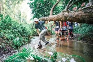 BIB: 
                            <button type="button" onclick="openModal(25514161)" class="btn btn-primary btn-sm float-right btn-popup" data-toggle="modal" data-target=".modal-high-quality">
                        <i class="fas fa-shopping-cart"></i> Add to Cart
                    </button>
                                            <button type="button" onclick="isThisMe(25514161, true)" class="btn btn-success btn-sm float-right btn-popup btn-isme hidden" data-toggle="tooltip" data-placement="bottom" title="นี่คือรูปของคุณใช่ไหม คลิกที่นี่เพื่อเอาเข้าอัลบั้ม">
                        <i class="fas fa-plus"></i> Add to album
                    </button>
                    <button type="button" onclick="isThisMe(25514161, false)" class="btn btn-warning btn-sm float-right btn-popup btn-isnotme hidden">
                        <i class="fas fa-ban"></i> Remove from album
                    </button>